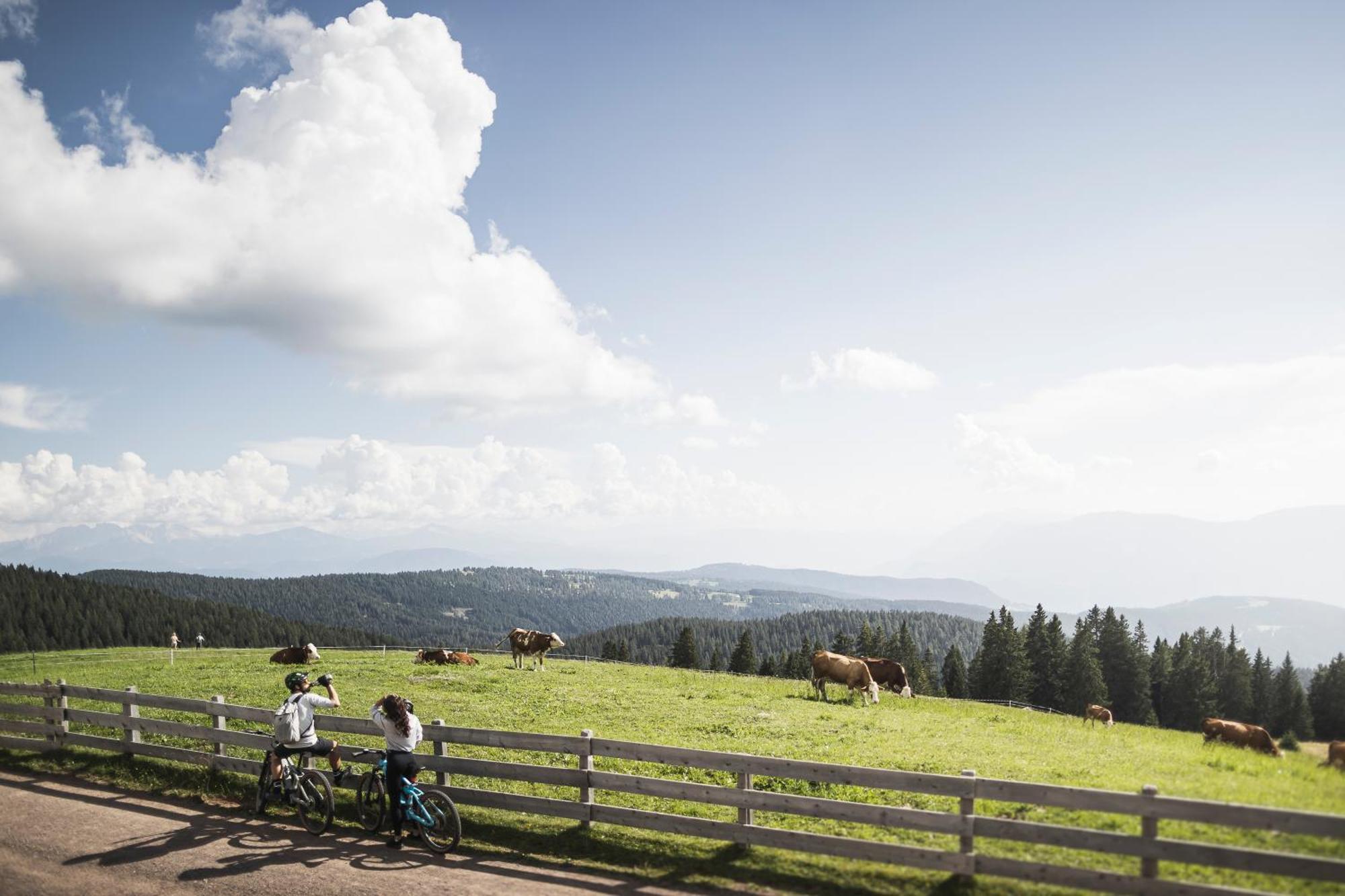 Der Mesnerwirt Hotel Hafling ภายนอก รูปภาพ